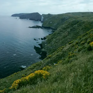Middle Anacapa Island, North side & East Anacapa view
