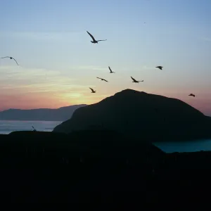 Middle Anacapa Island, sunset over West Anacapa Island & Santa Cruz Island