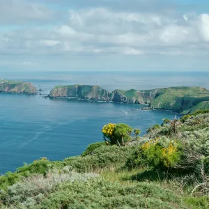 West Anacapa Island, view of East & Middle Islands, from ridge, East of Cherry Canyon