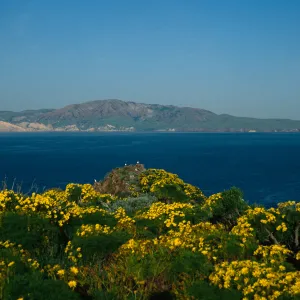West Anacapa Island, Coreopsis, West end & view of Santa Cruz Island