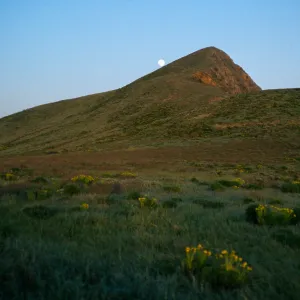 West Anacapa Island, moonrise