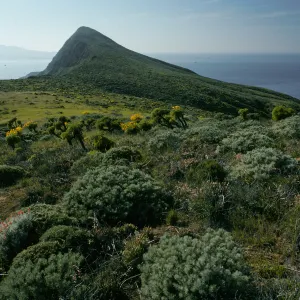 West Anacapa Island, Summit Peak from West flanks of Camel Peak