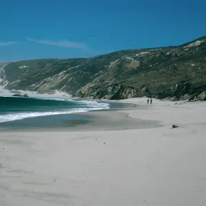 San Miguel Island, Cuyler Harbor