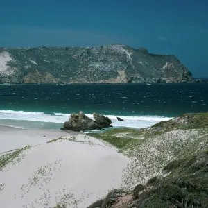 San Miguel Island, Cuyler Harbor
