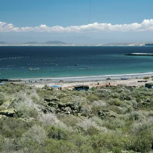 San Martin Island, Hasslers Cove