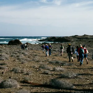 West San Benito Island, North shore near village