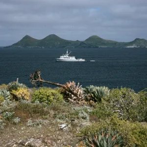 West San Benito Island, Royal Polaris, village harbor 