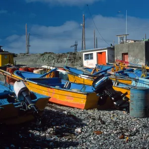 West San Benito Island, fishing boats, village