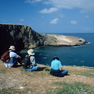 Santa Barbara Island, view of Webster Point