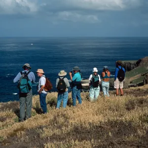 Santa Barbara Island, West side