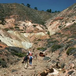Cedros Island, ruins, Cañada de la Mina