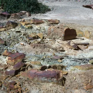 Cedros Island, arrastra (mining device), Cañada de la Mina