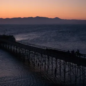 Santa Rosa Island, cattle drive at dawn, Vail Ranch