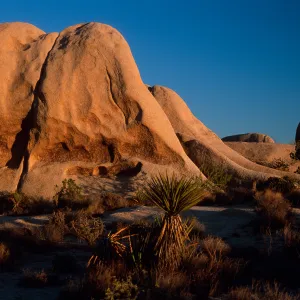 rocks, near Belle Campground, Joshua Tree National Park