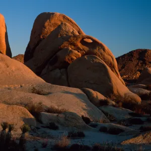rocks, near Belle Campground, Joshua Tree National Park