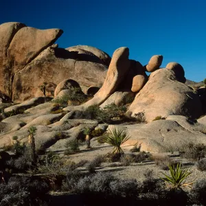 rocks, near Belle Campground, Joshua Tree National Park