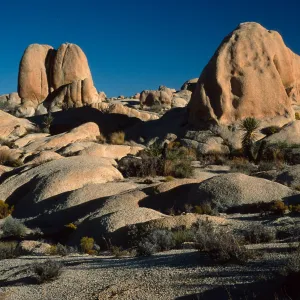 rocks, near Belle Campground, Joshua Tree National Park
