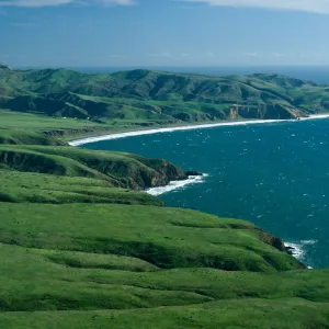 Christy Beach, Santa Cruz Island