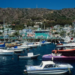 Avalon, Catalina Island