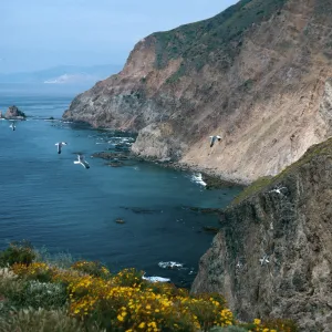 view of South side & Cat Rock, Middle Anacapa Island