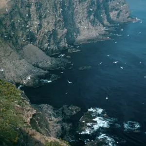 overlooking East Fish Camp, Middle Anacapa Island