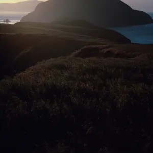 looking West, Middle Anacapa