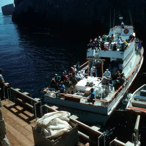Vanguard, Landing Cove, East Anacapa Island
