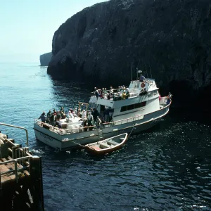 Vanguard, Landing Cove, East Anacapa Island
