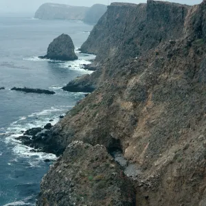 offshore slopes, East tip of island, East Anacapa Island