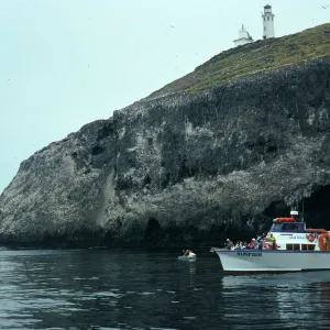 Sunfish, East end, East Anacapa Island