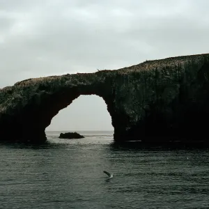 Arch Rock, East Anacapa Island