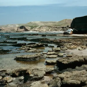 wreck of Pleiades in background (Long Beach), below Orrs Camp, Santa Rosa Island