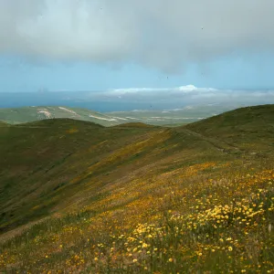 trip to West end, Santa Rosa Island