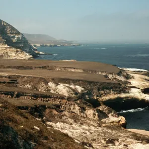 coastline, between Cow & Lobo Canyons, Santa Rosa Island