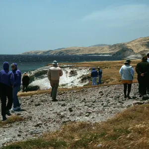 Southeast end, Santa Rosa Island