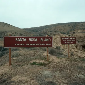 Officers Beach, East of Johnsons Lee, Santa Rosa Island