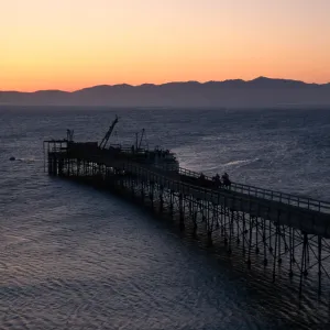 cattle drive at dawn, Vail Ranch, Santa Rosa Island