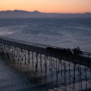 cattle drive at dawn, Vail Ranch, Santa Rosa Island