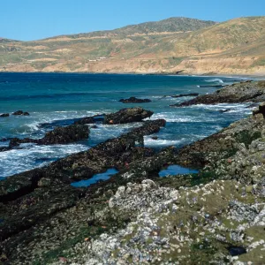 tide pools, Johnsons Lee, Santa Rosa Island