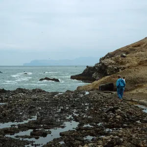 tide pools, just West of Carrington Point Peninsula, Santa Rosa Island