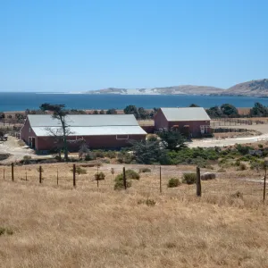 Vail Ranch, Santa Rosa Island