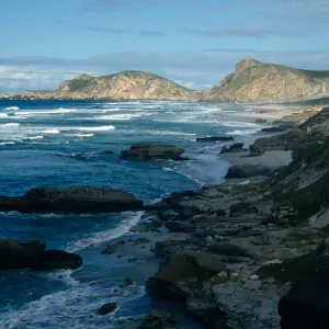 Simonton Cove, Peachrock Beach, San Miguel Island