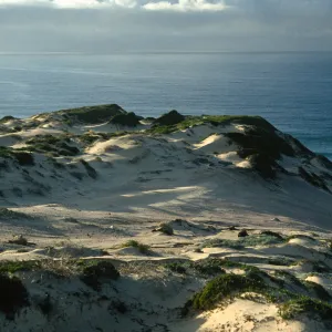 dunes, Simonton Cove, San Miguel Island