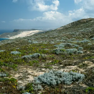 view of Cuyler Harbor, San Miguel Island