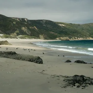 Cuyler Harbor, San Miguel Island