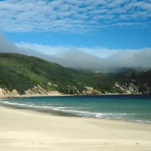 Cuyler Harbor, San Miguel Island
