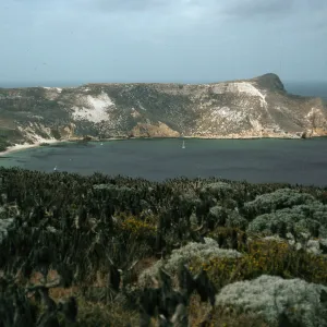 Cuyler Harbor, from West of Cañada Del Mar, San Miguel Island