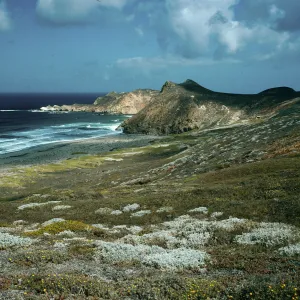 view of Harris Point & Lester Point, San Miguel Island