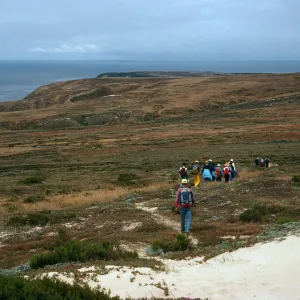 trail, West of San Miguel Peak, San Miguel Island