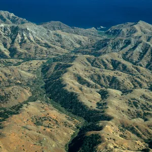 Willows Canyon, Santa Cruz Island